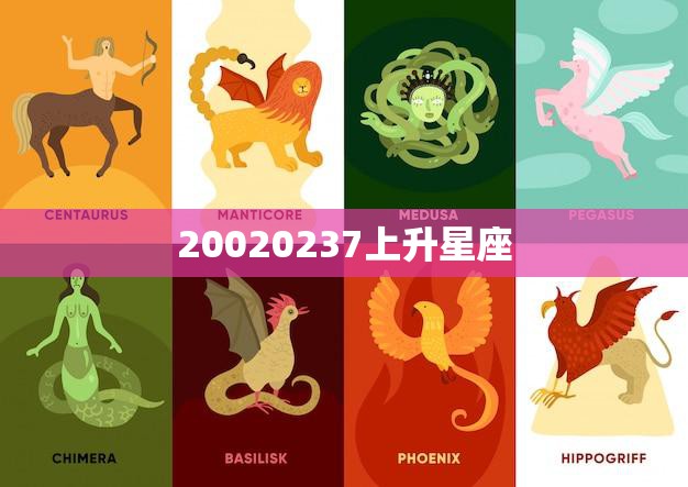 20020237上升星座(探秘你的升星座特质)