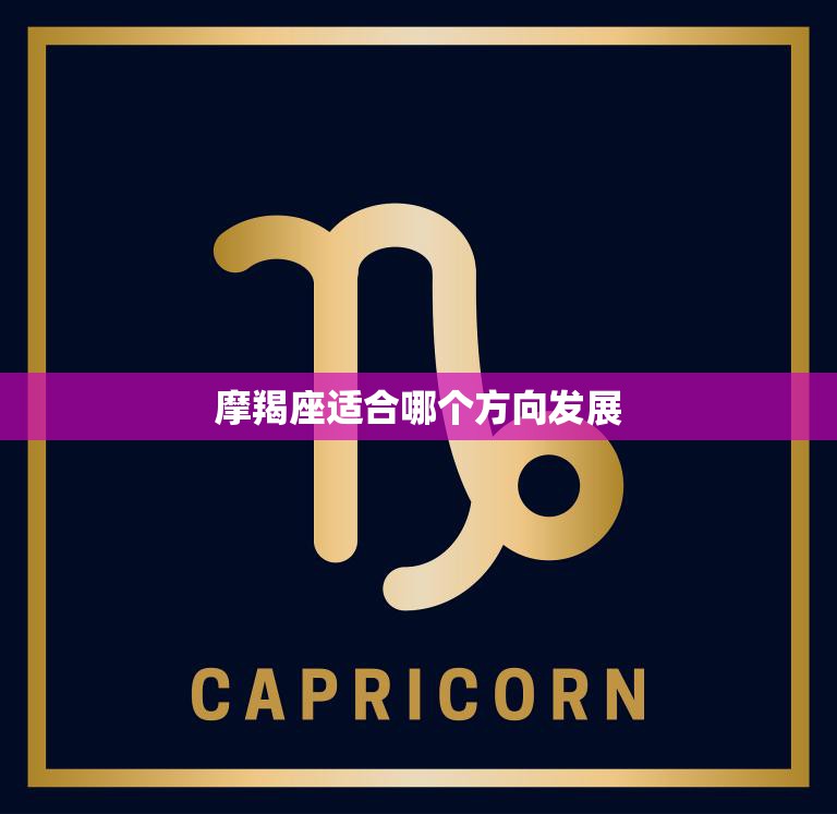 摩羯座适合哪个方向发展(职场指南)