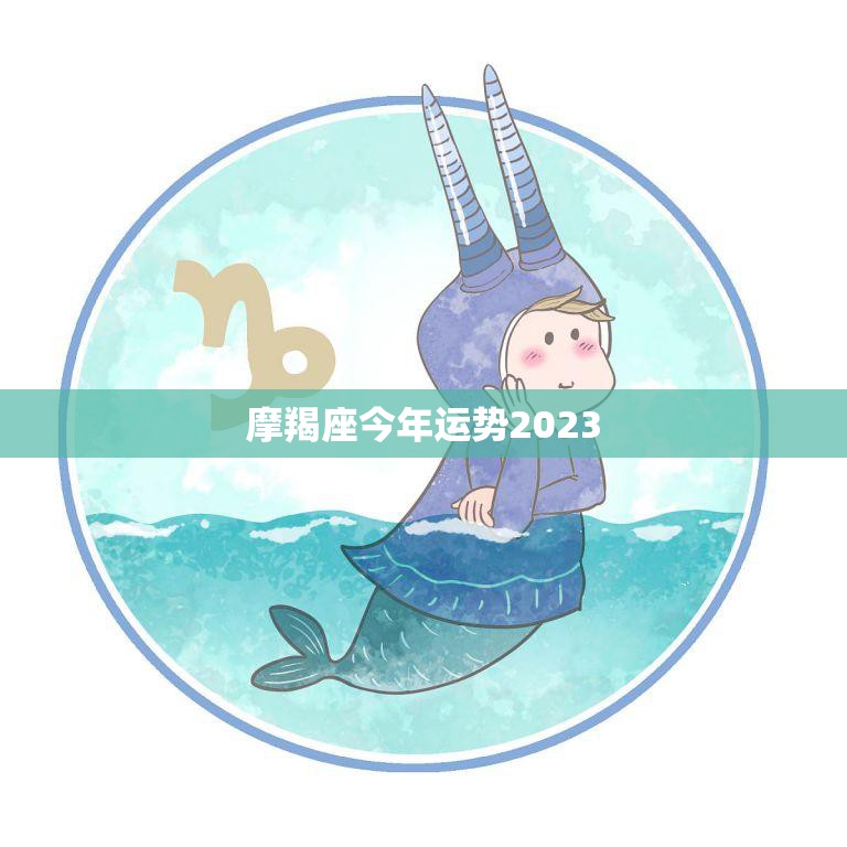 摩羯座今年运势2023(事业财运双丰收)