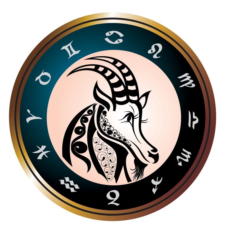 陈茂源十二星座解析摩羯座(摩羯座的性格特点与职场优势)