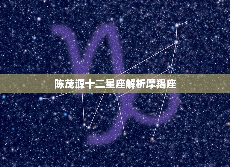 陈茂源十二星座解析摩羯座(摩羯座的性格特点与职场优势)