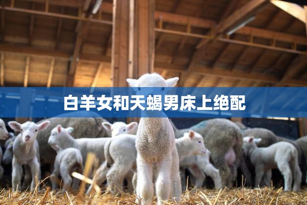 白羊女和天蝎男床上绝配(技巧大揭秘)