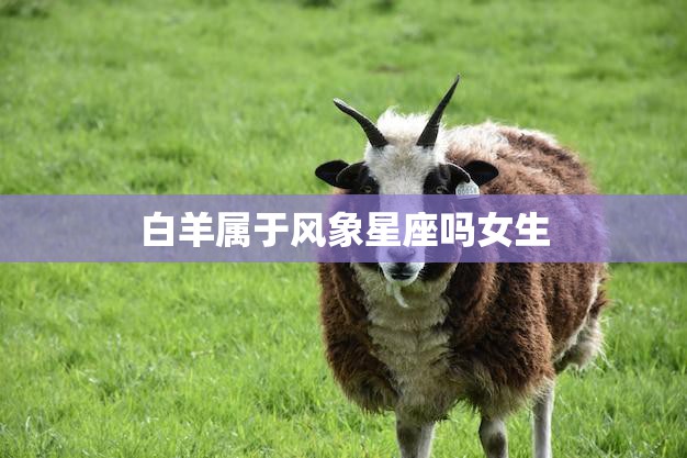 白羊属于风象星座吗女生(解析白羊座的星座属性)