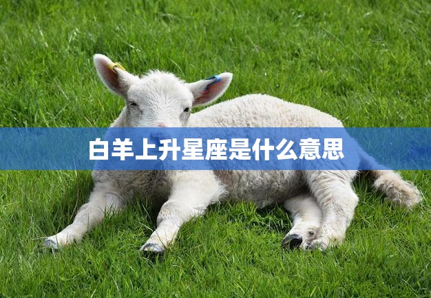 白羊上升星座是什么意思(解读你的人际关系和性格特点)