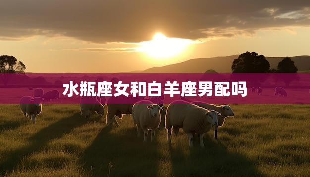 水瓶座女和白羊座男配吗(星座配对分析)