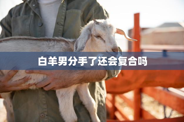 白羊男分手了还会复合吗(分手并不是终点复合也不是必然)