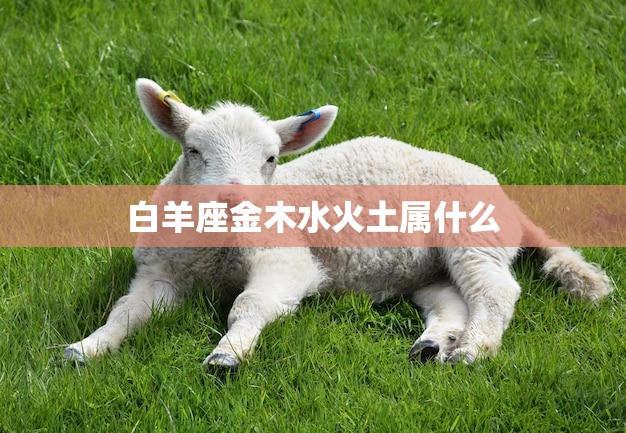 白羊座金木水火土属什么(五行属相解析)