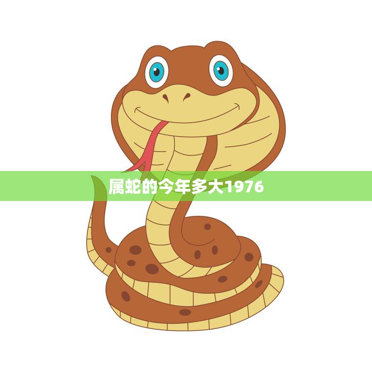 属蛇的今年多大1976(回顾1976年属蛇人的命运与发展)