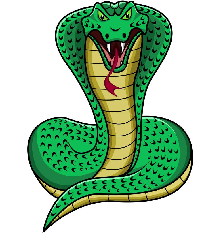 77年属蛇人属于什么命(解析命运多变财运不错)