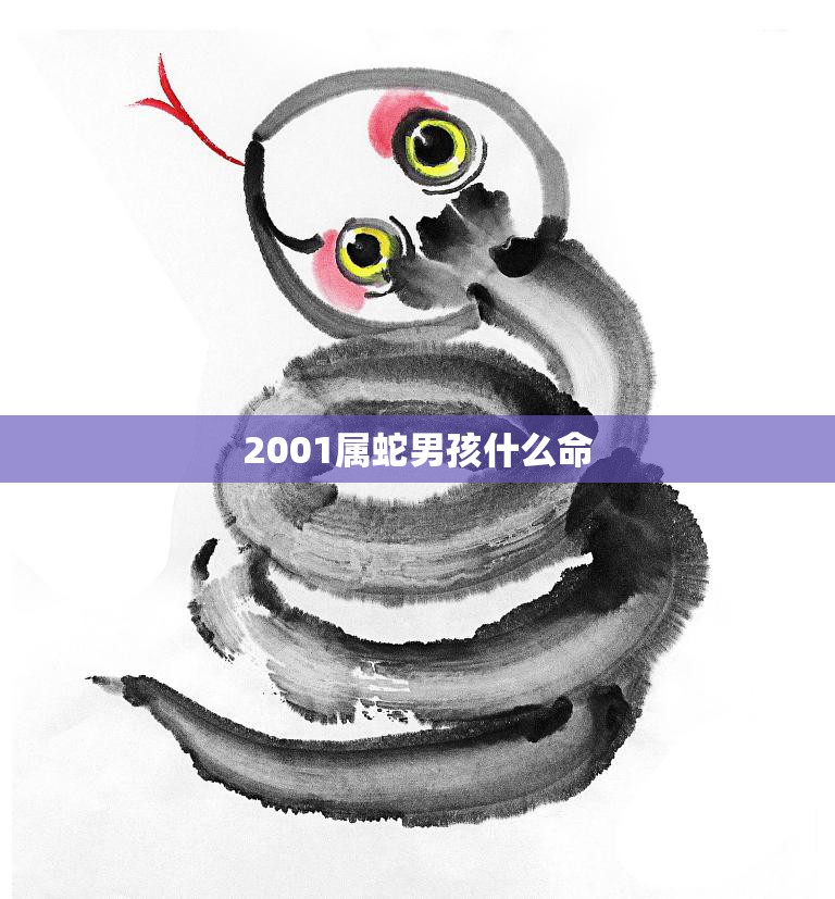 2001属蛇男孩什么命(探究性格特点、事业发展及婚姻运势)