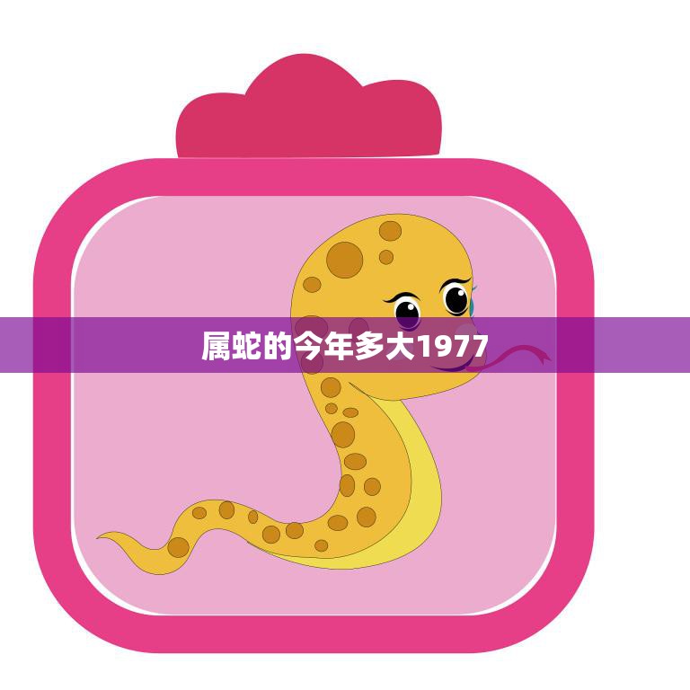 属蛇的今年多大1977(如何计算属蛇人的年龄)