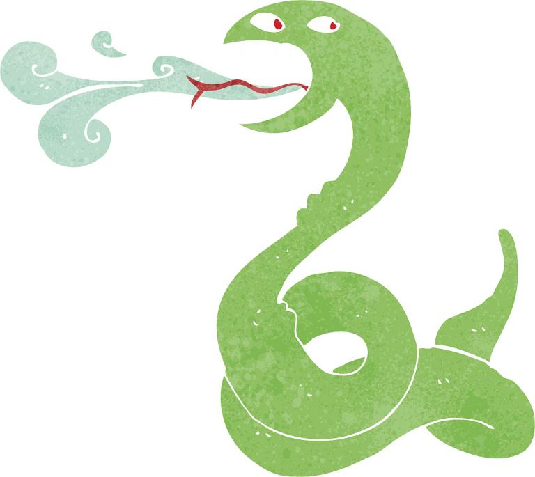 53年的蛇女命老年怎样(如何健康长寿)