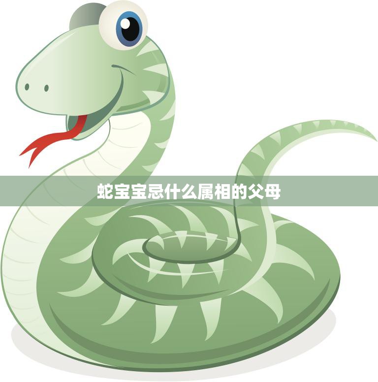蛇宝宝忌什么属相的父母(如何避免冲突)