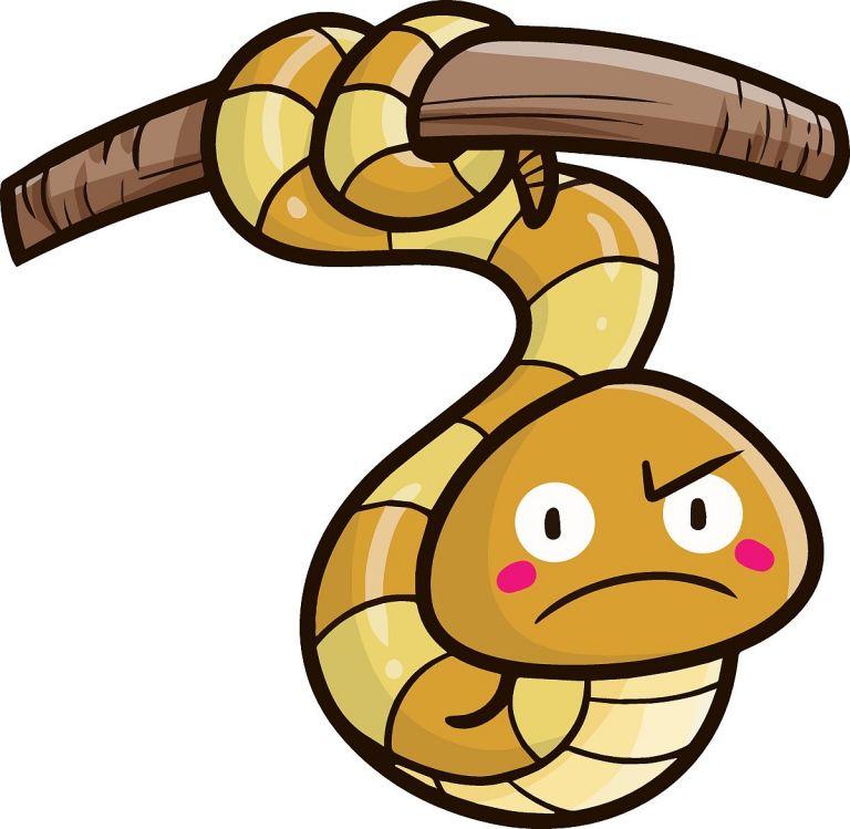 生肖狗与生肖蛇婚配好吗(探讨星座学传统文化的看法)