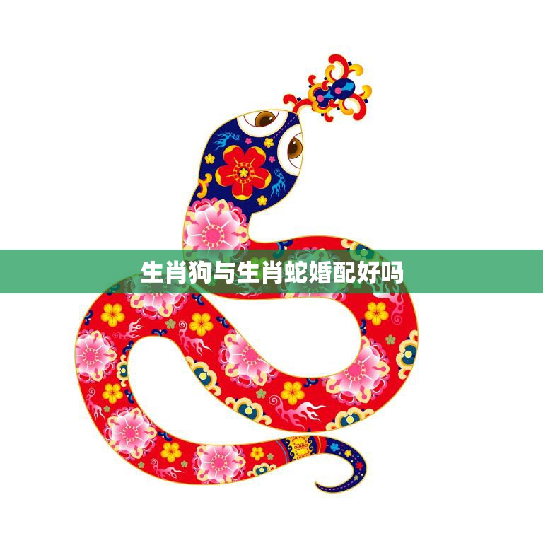 生肖狗与生肖蛇婚配好吗(探讨星座学传统文化的看法)