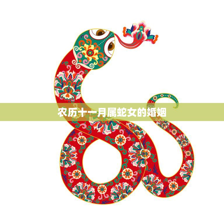 农历十一月属蛇女的婚姻(如何避免婚姻危机)