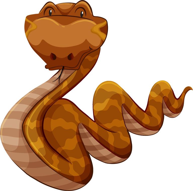 属蛇的戴什么吊坠最合适(如何选择最适合的)