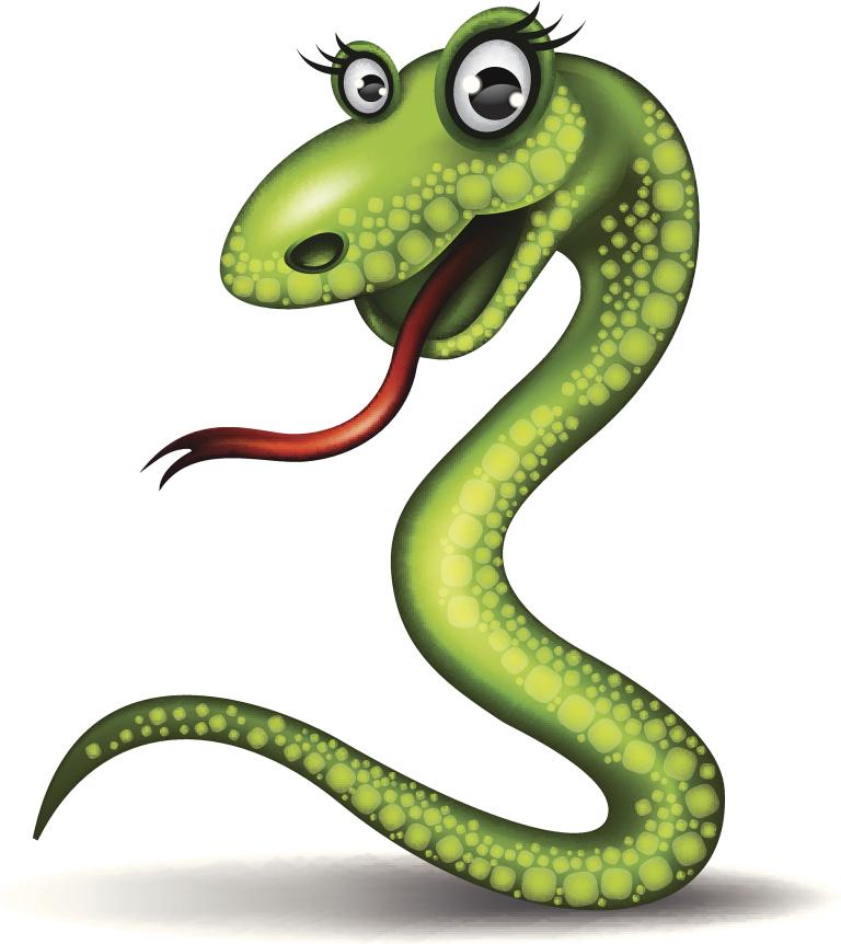 属蛇适合带什么东西招财(提高财运的秘诀)