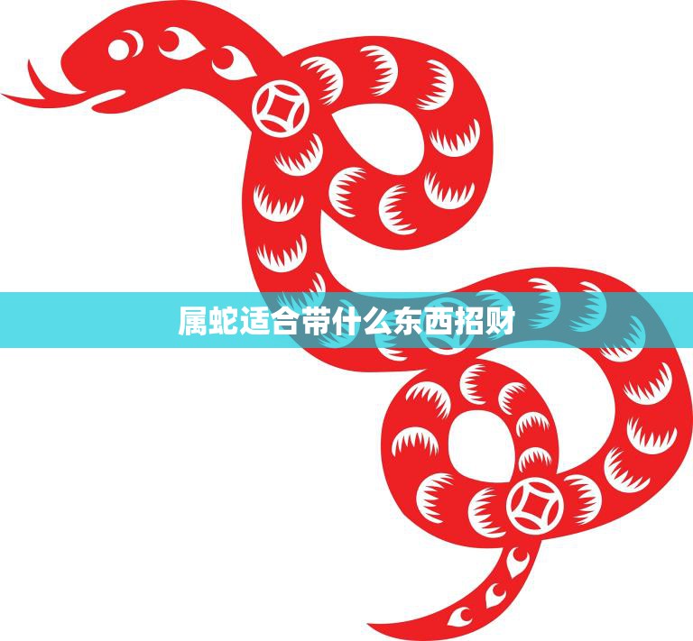 属蛇适合带什么东西招财(提高财运的秘诀)