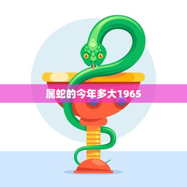 属蛇的今年多大1965(如何算出你的年龄)