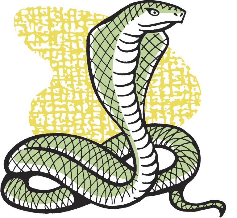 几月出生的蛇男是富贵命(揭秘蛇年男命的财富密码)