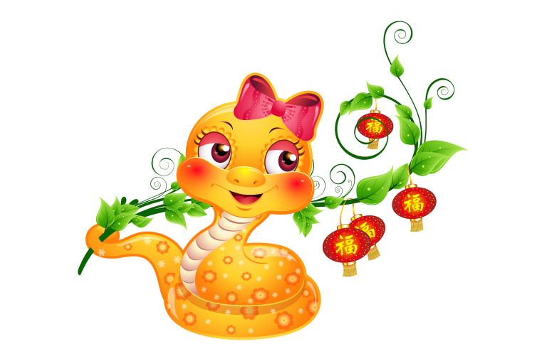 属蛇的人佩戴什么最旺财(如何选择适合自己的财运饰品)