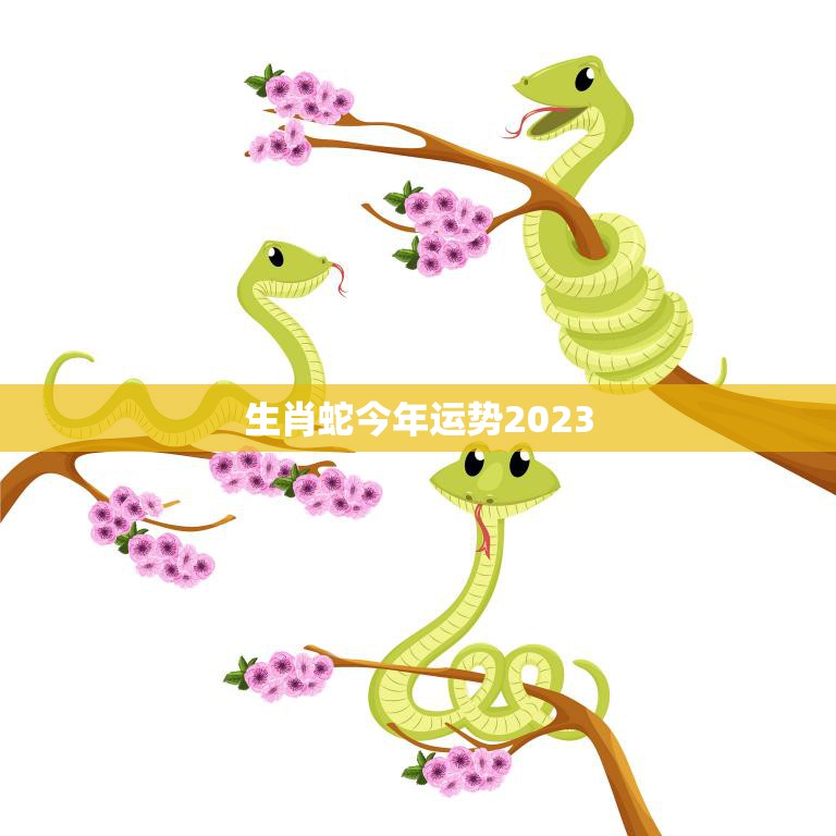 生肖蛇今年运势2023(顺风顺水财运亨通)