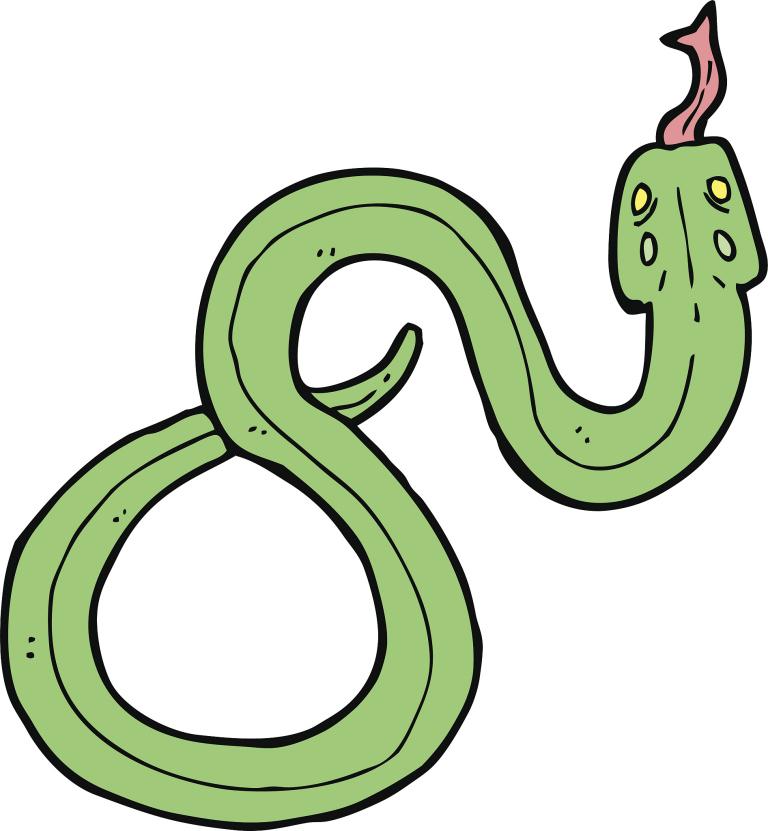 男蛇女鸡属相婚配好不好(如何看待这种组合)