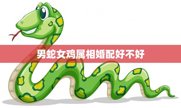 男蛇女鸡属相婚配好不好(如何看待这种组合)