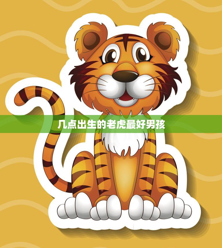 揭秘十二生肖间的健身达人们