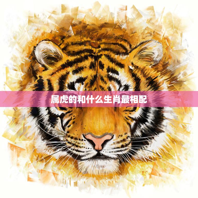属虎的和什么属相最配的视图