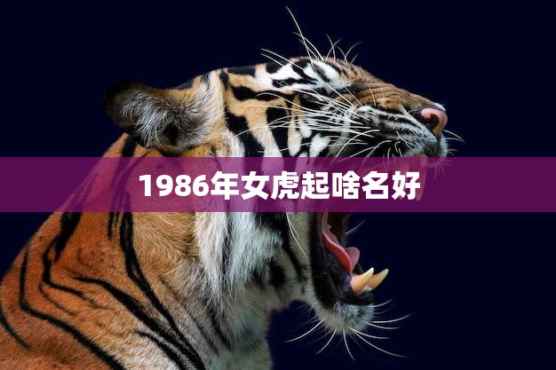 1986年女虎起啥名好(如何为你的宠物虎取一个独特的名字)