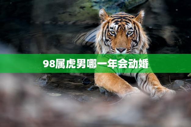 98属虎男哪一年会动婚(如何选择最佳婚期)