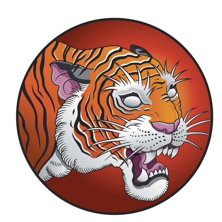 1998年男虎最佳配偶(如何成为一位完美的伴侣)