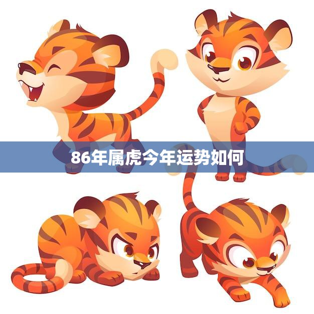 86年属虎今年运势如何(2023年属虎人的运势分析)