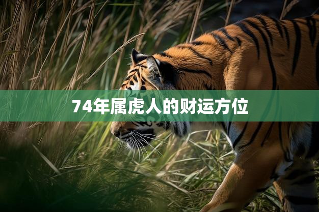 74年属虎人的财运方位(如何提升财富运)