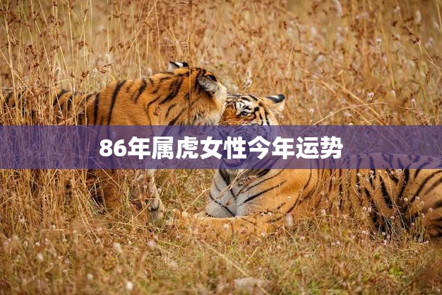 86年属虎女性今年运势(顺风顺水财源滚滚来)