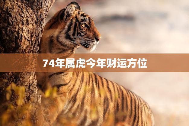 74年属虎今年财运方位(解析财运旺盛财源广进)