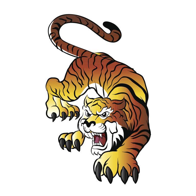 98年属虎的女最佳婚配(如何选择最适合的伴侣)