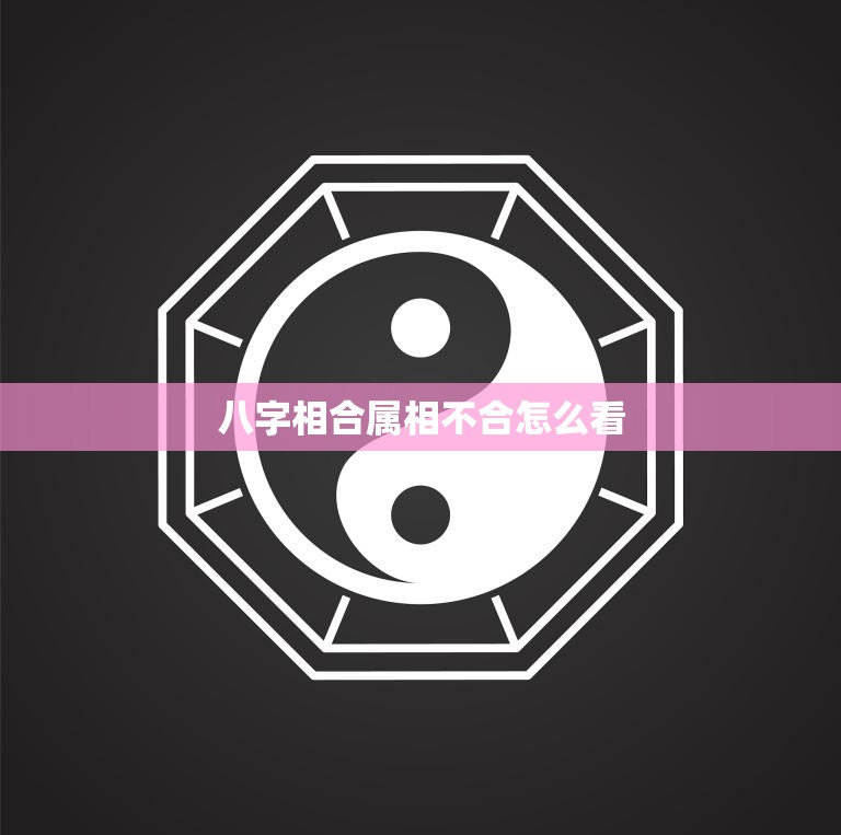 八字相合属相不合怎么看(如何判断八字相合属相不合)