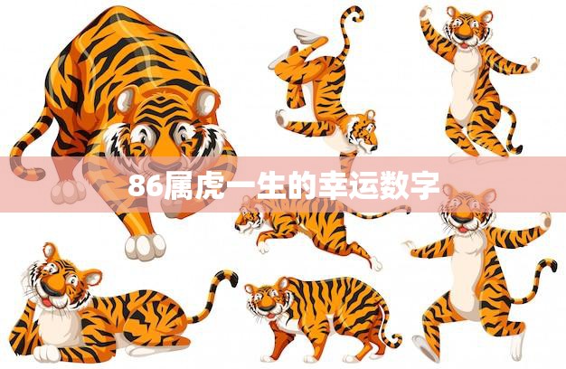 86属虎一生的幸运数字(揭秘数字7的神奇力量)