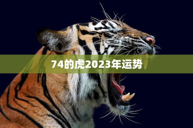 74的虎2023年运势(财运亨通事业顺利健康平稳)