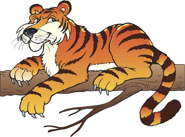 属虎人命中有两段婚姻吗(解密属虎人的婚姻命运)