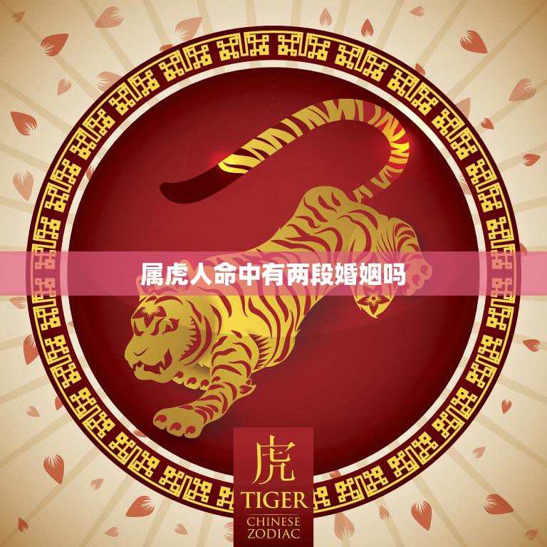 属虎人命中有两段婚姻吗(解密属虎人的婚姻命运)