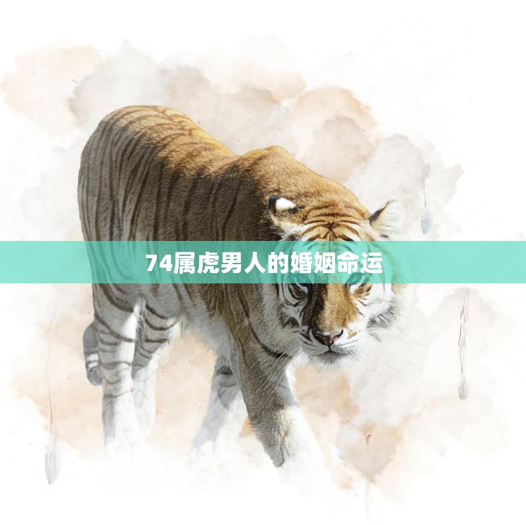 74属虎男人的婚姻命运(如何避免婚姻危机)