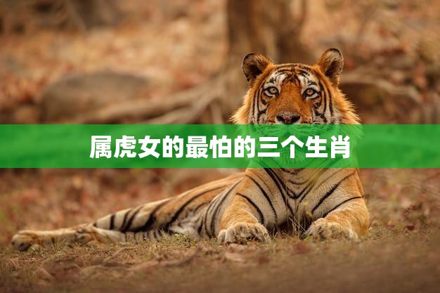 属虎女的最怕的三个生肖(揭秘哪些生肖会让她心生畏惧)