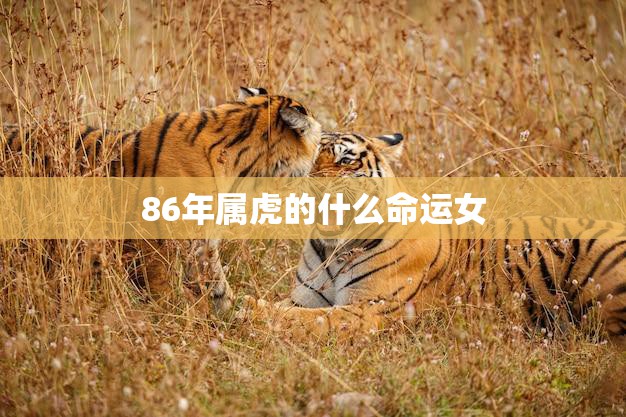 86年属虎的什么命运女(命运如何)