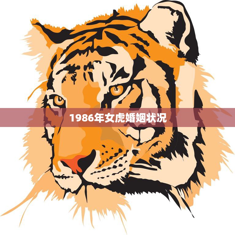 1986年女虎婚姻状况(当年女虎的婚姻现状如何)