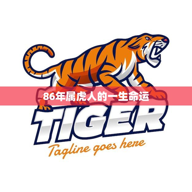 86年属虎人的一生命运(如何把握机遇实现人生突破)