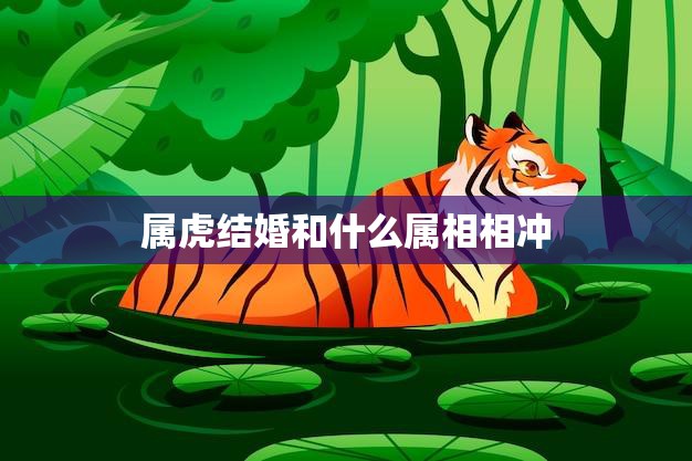 属虎结婚和什么属相相冲(如何避免婚姻矛盾)